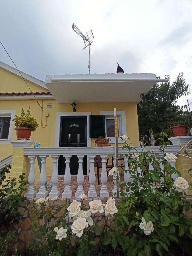 Dimitris House Petriti Διαμέρισμα Εξωτερικό φωτογραφία